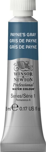 Professional Watercolor 5mL Payne Gray