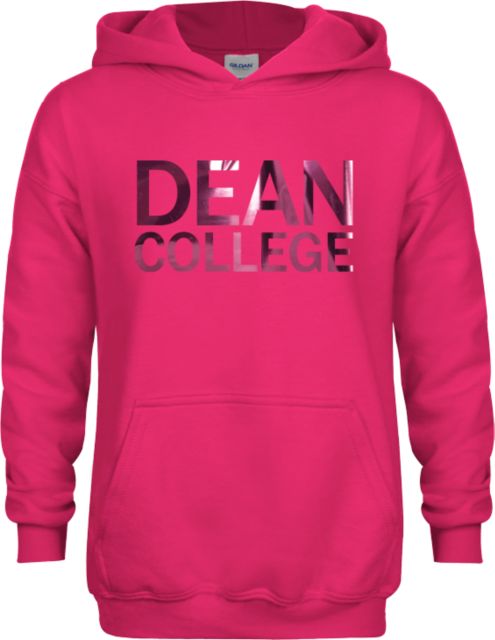 Dean College Youth Fleece Hoodie Primary Mark  Foil - ONLINE ONLY